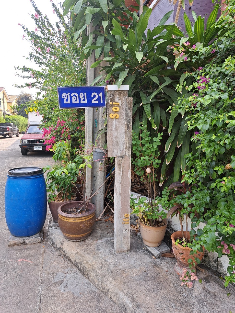 ทาวน์โฮม ออลสวีท
